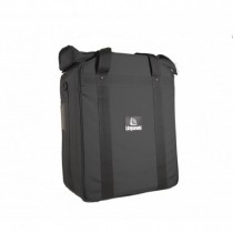 Light carry case for (2) Astra 1x1's